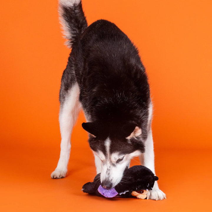 It Be Like Bat Dog Toy