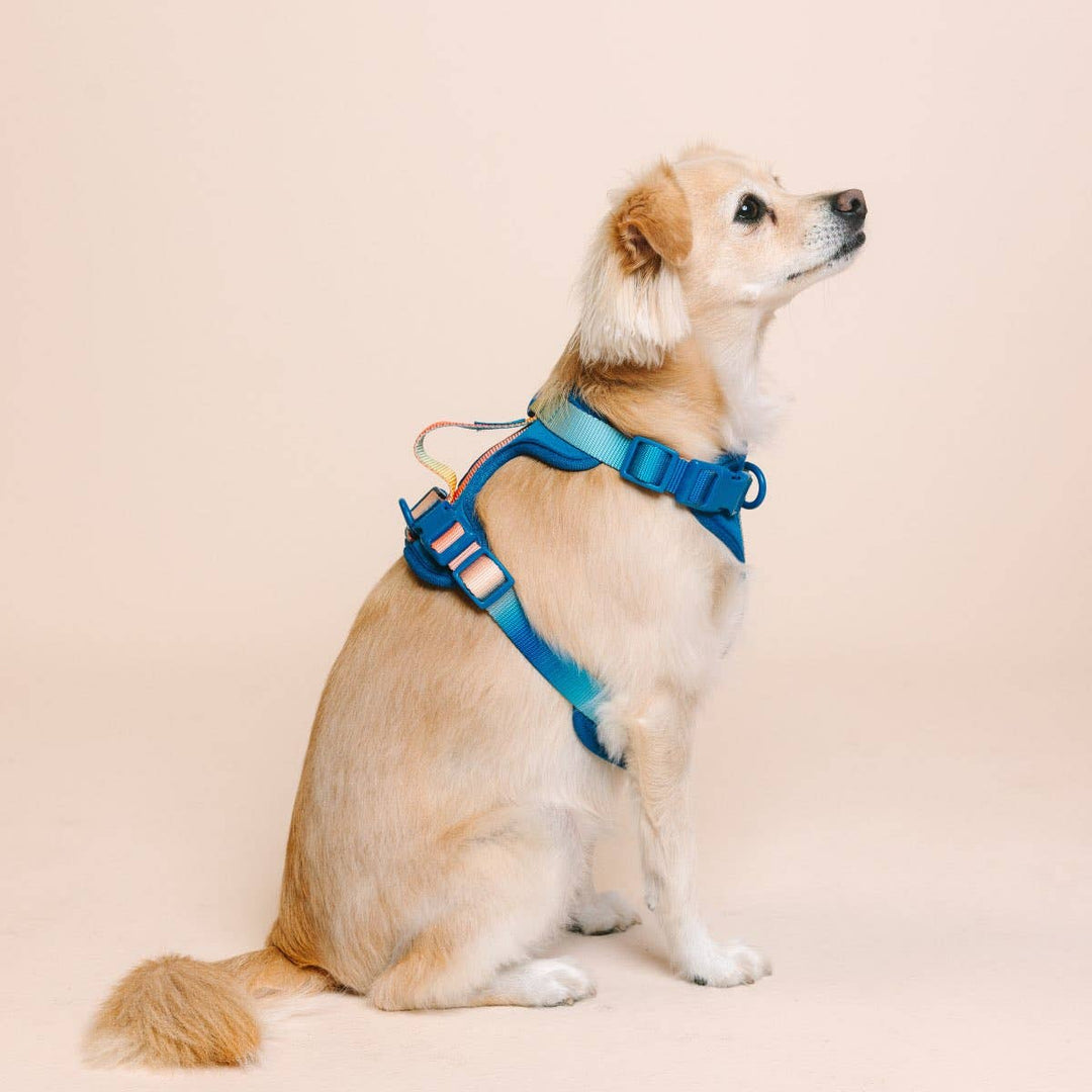 Atlas Blue No Pull Harness