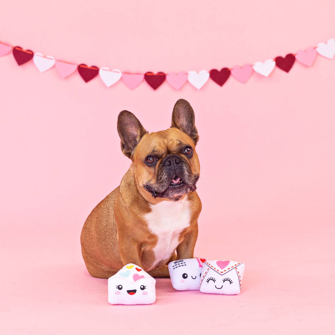 Sealed with a Kiss 3pc Dog Toy Set