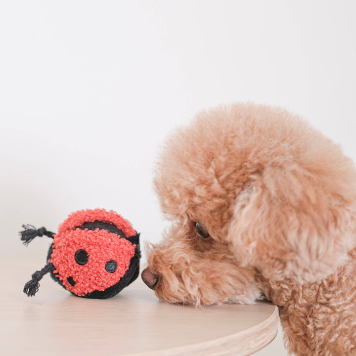Ladybug Pop Enrichment Snuffle Toy