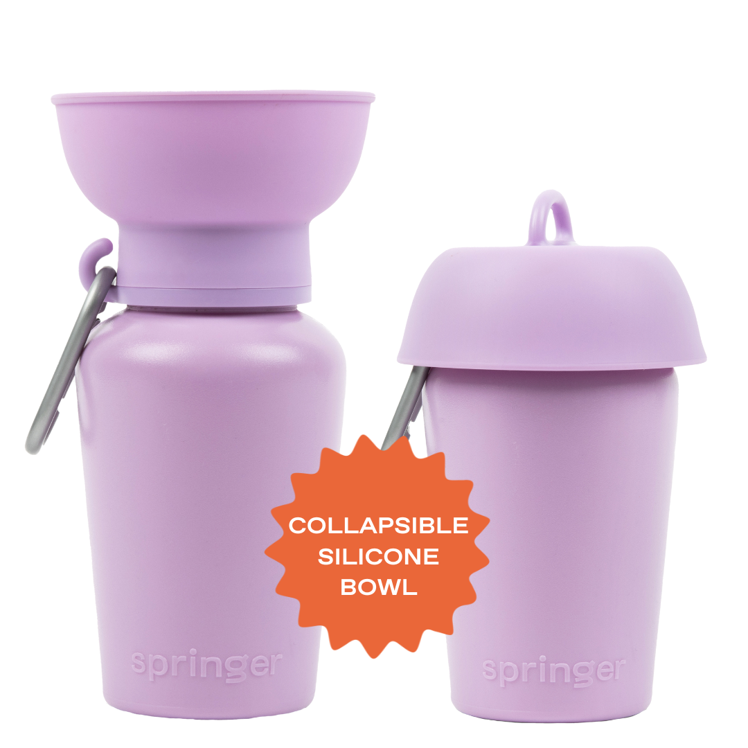 Dog Travel Water Bottle - 20oz Flip