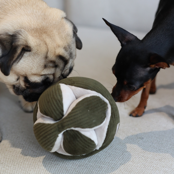 Monti Enrichment Toy