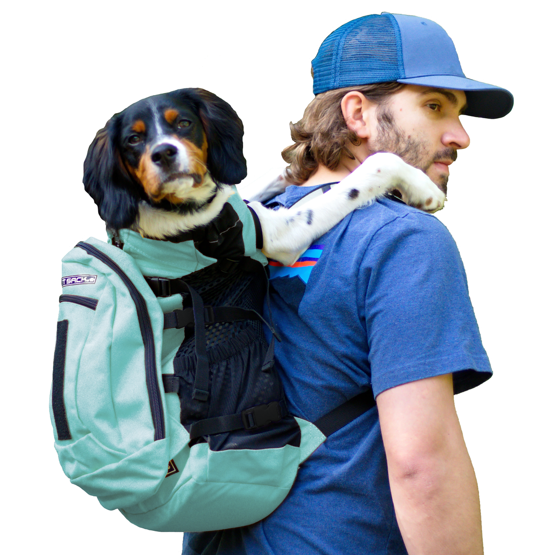 Plus 2 | Dog Carrier with Removable Storage