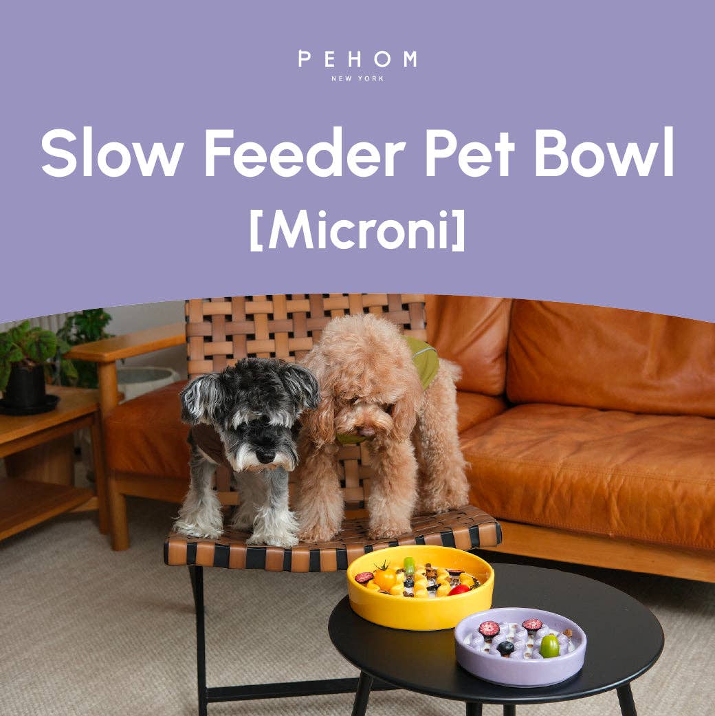 Macaroni Slow Feeder Dog Bowls