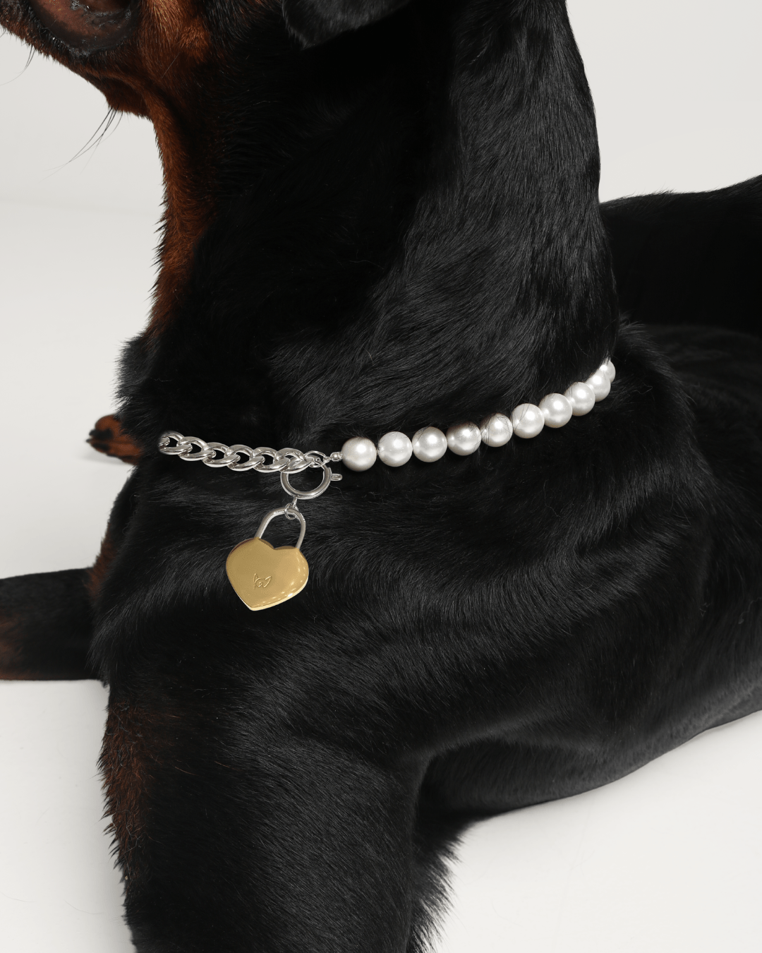 The Lola Pearl Necklace