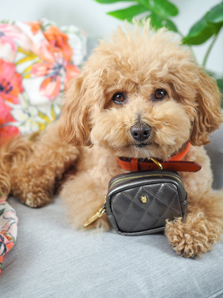 Melissa Vegan Leather Poop Bag Dispenser &amp; Treat Pouch
