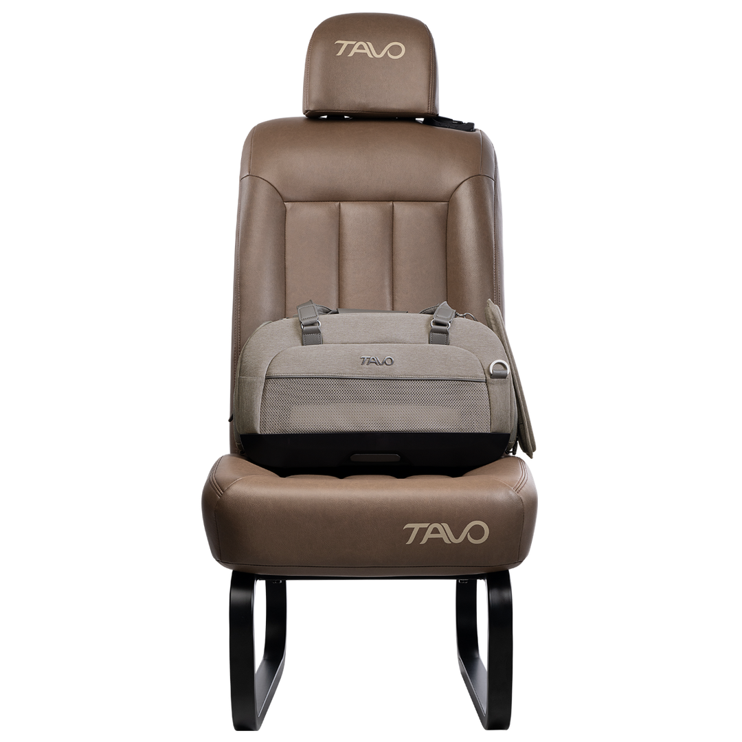 Dupree II Airline Carrier Pet Car Seat