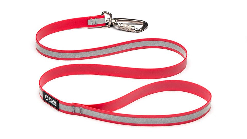 Dry Leash Go Dog Glo™