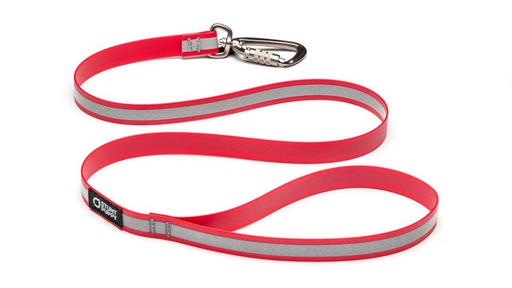 Dry Leash Go Dog Glo™