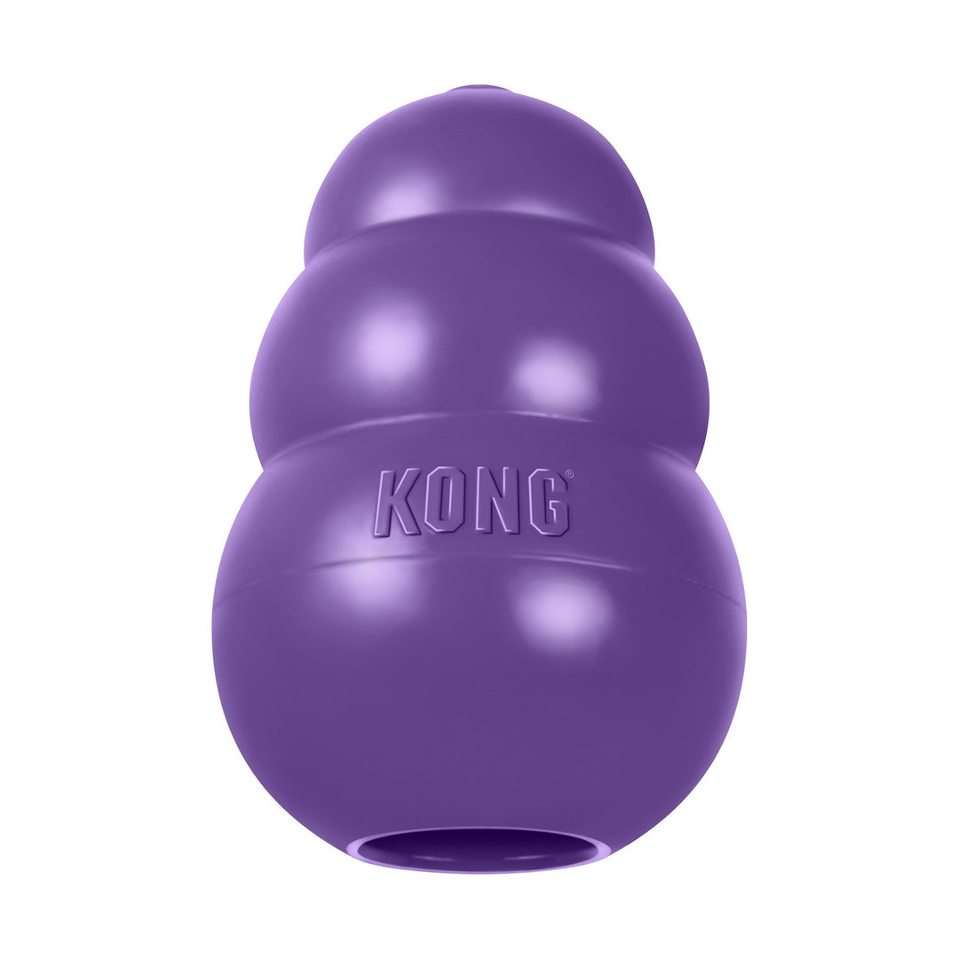 Senior Dog Toy Small
