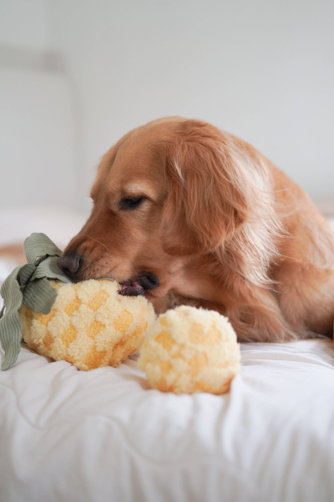 Pineapple Enrichment Dog Toy