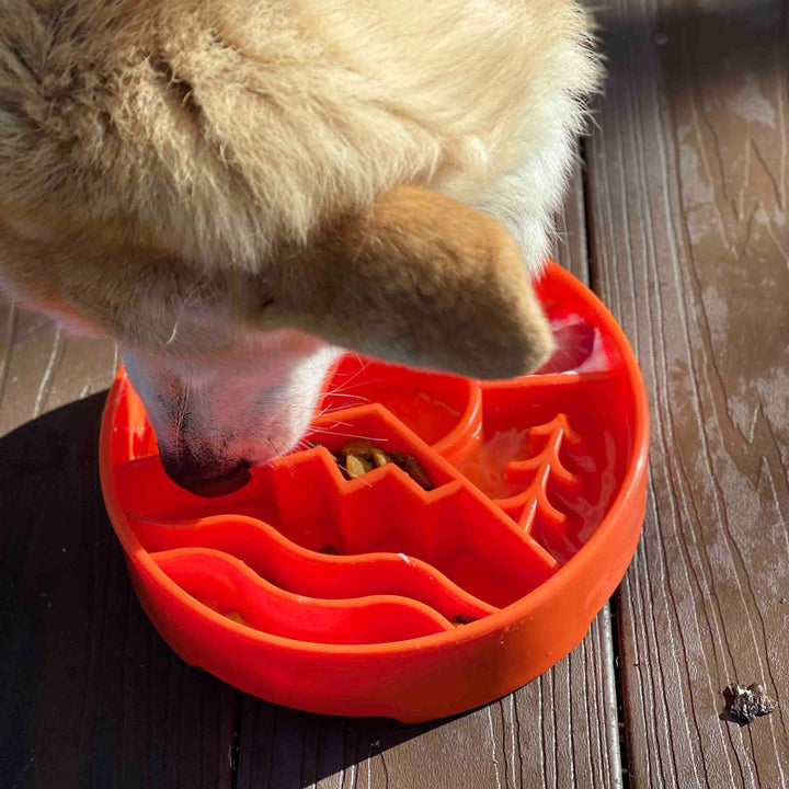 Great Outdoors Design eBowl Enrichment Slow Feeder Bowl