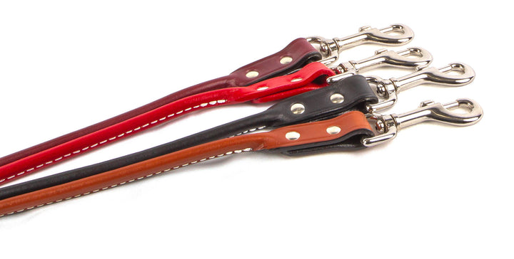 Rolled Leather Leash
