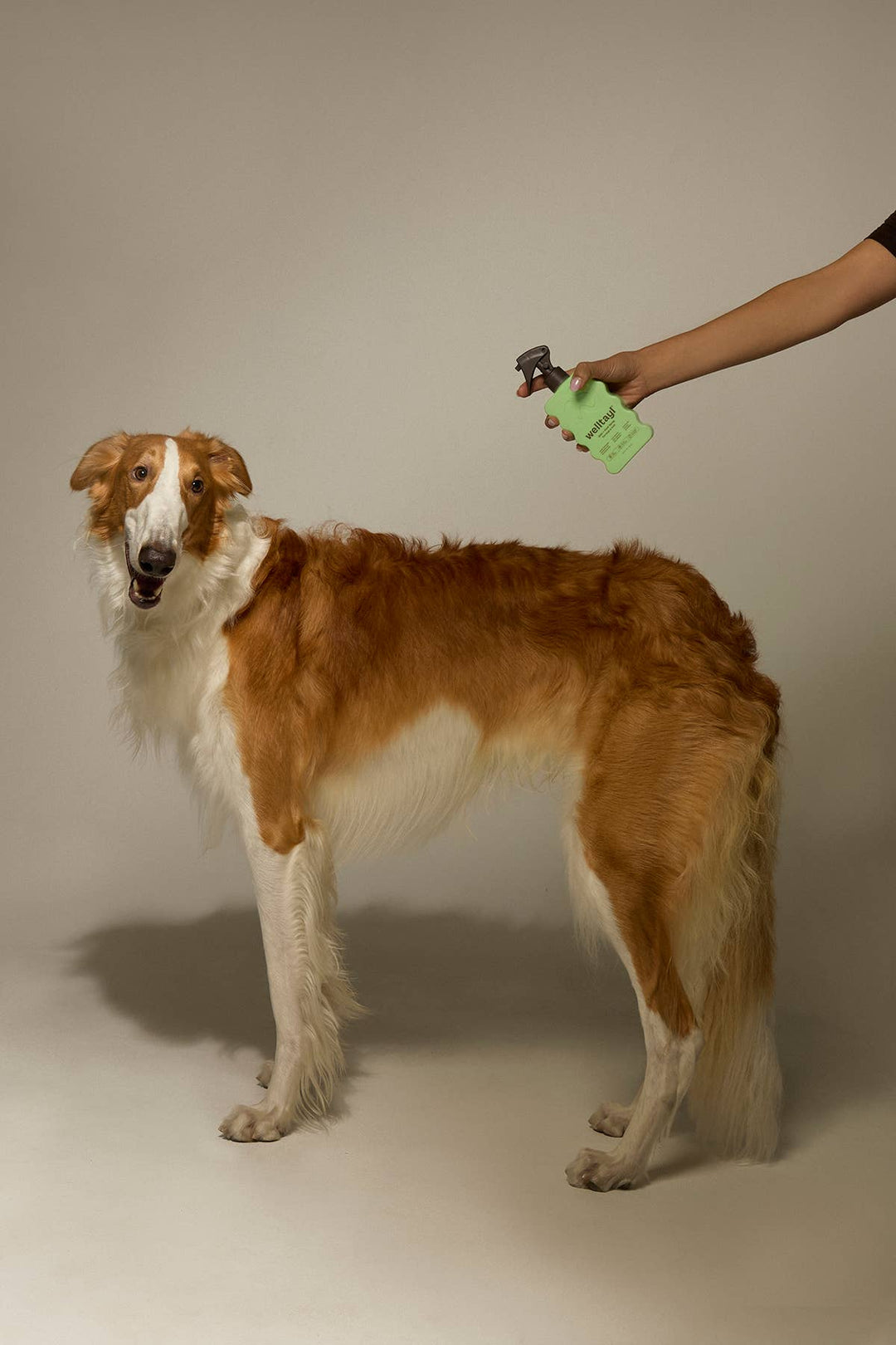 Dog Skin + Coat Spray (Cat-Safe)