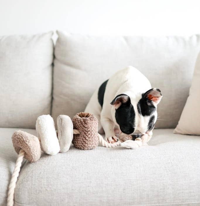 BLOCS Enrichment Dog Toy