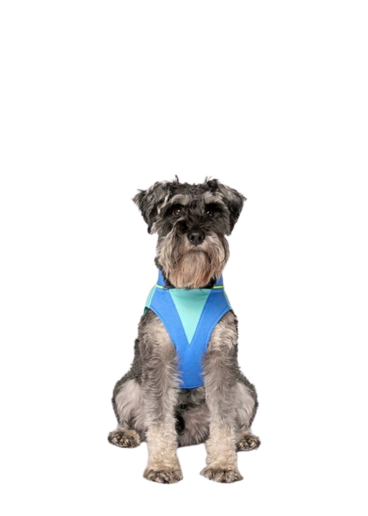 Max Chill Cooling Vest