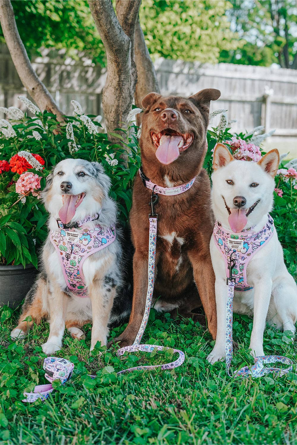 Hello Kitty® &amp; Friends Flower Festival Collar