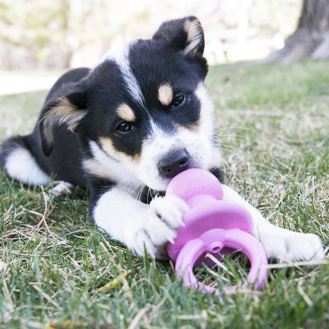 Puppy Binkie™ Chew Toy, Small