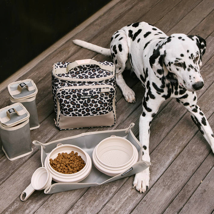 Bistro Box Dog Food Travel Kit