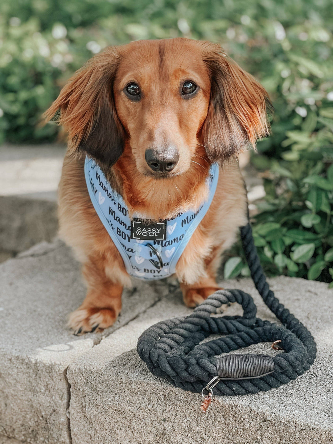 Rope Leash - Noir
