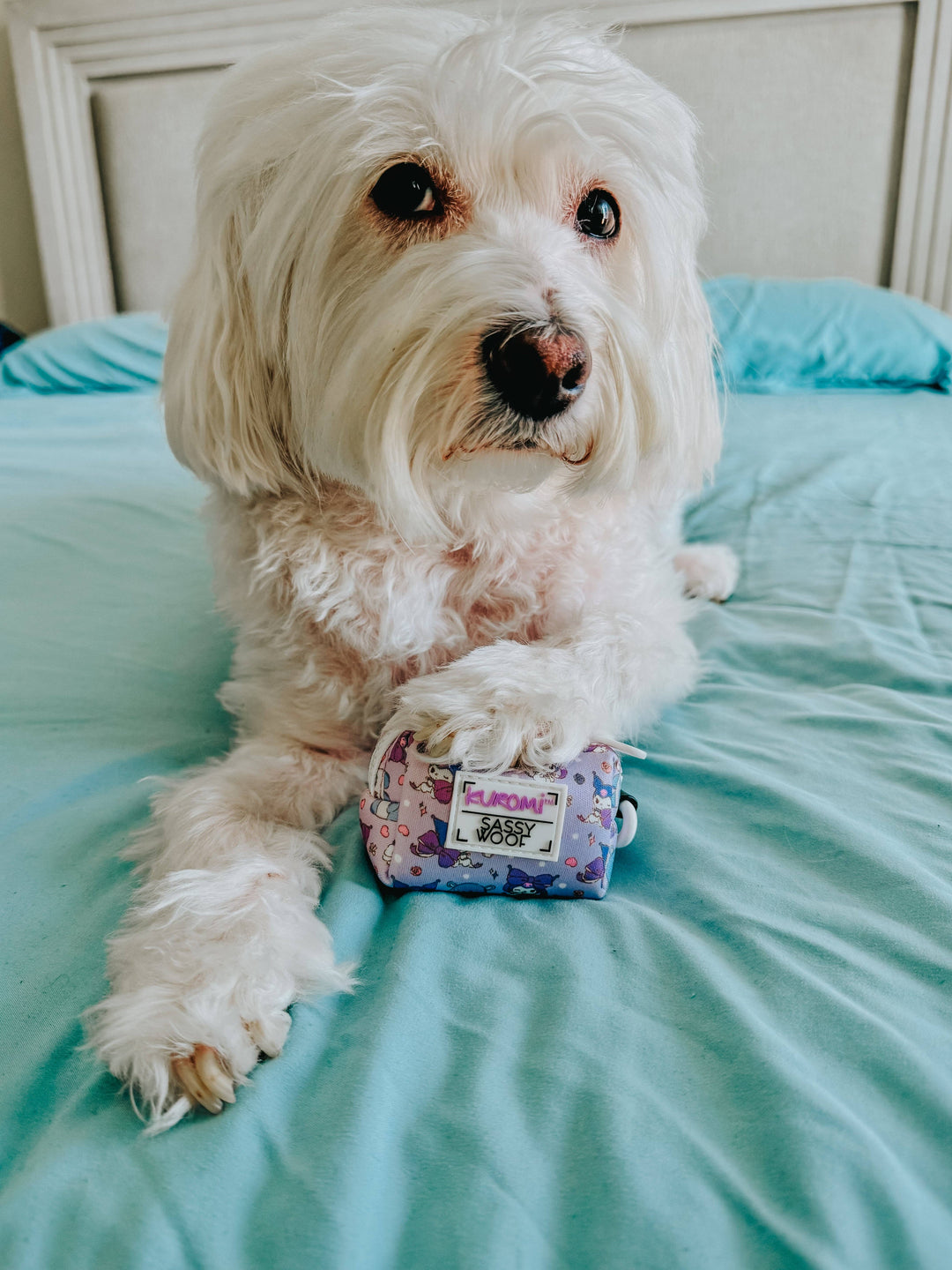 Dog Waste Bag Holder Kuromi™
