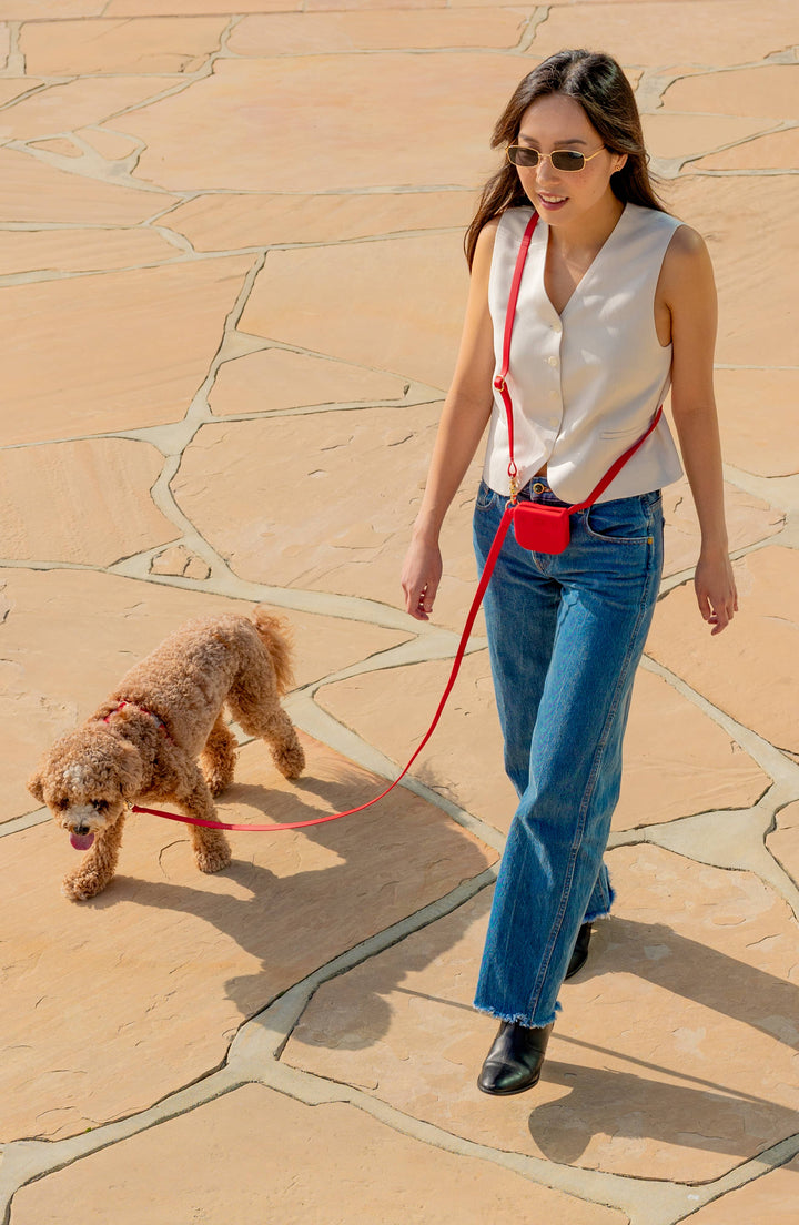 Cherry Red Snap Dog Treat Pouch