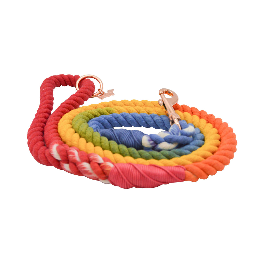 Rope Leash - Taste the Rainbow
