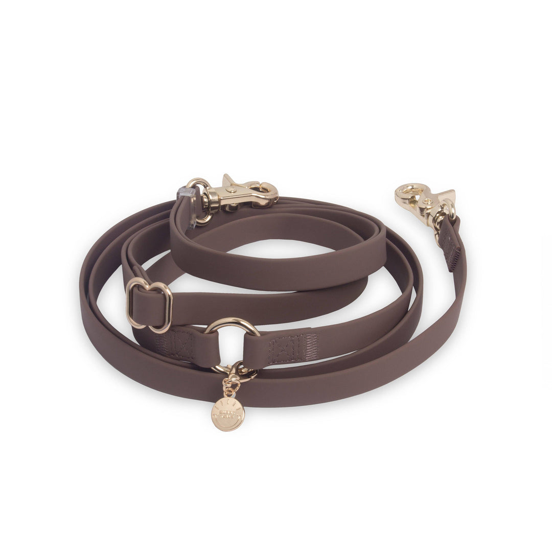 Espresso Brown 4-in-1 Convertible Hands Free Cloud Dog Leash