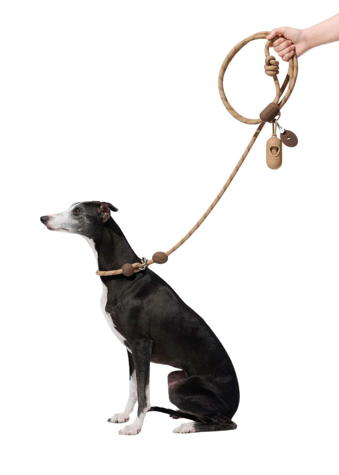 Coffee Connect Hands-Free Rope Leash
