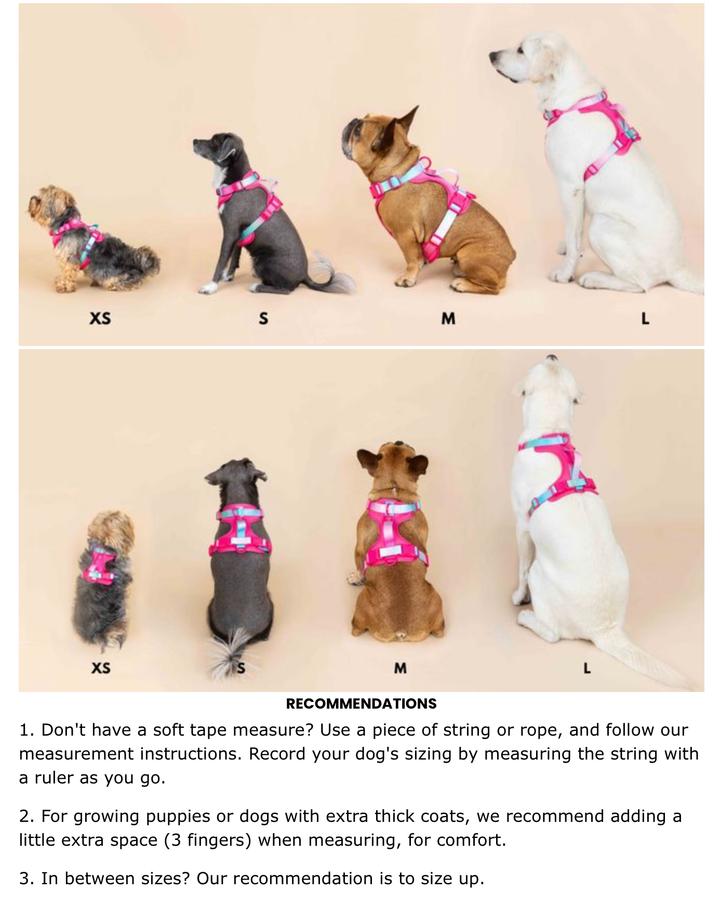 Atlas Blue No Pull Harness