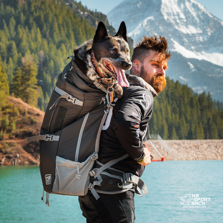 Kolossus: Big Dog Carrier &amp; Backpacking Pack