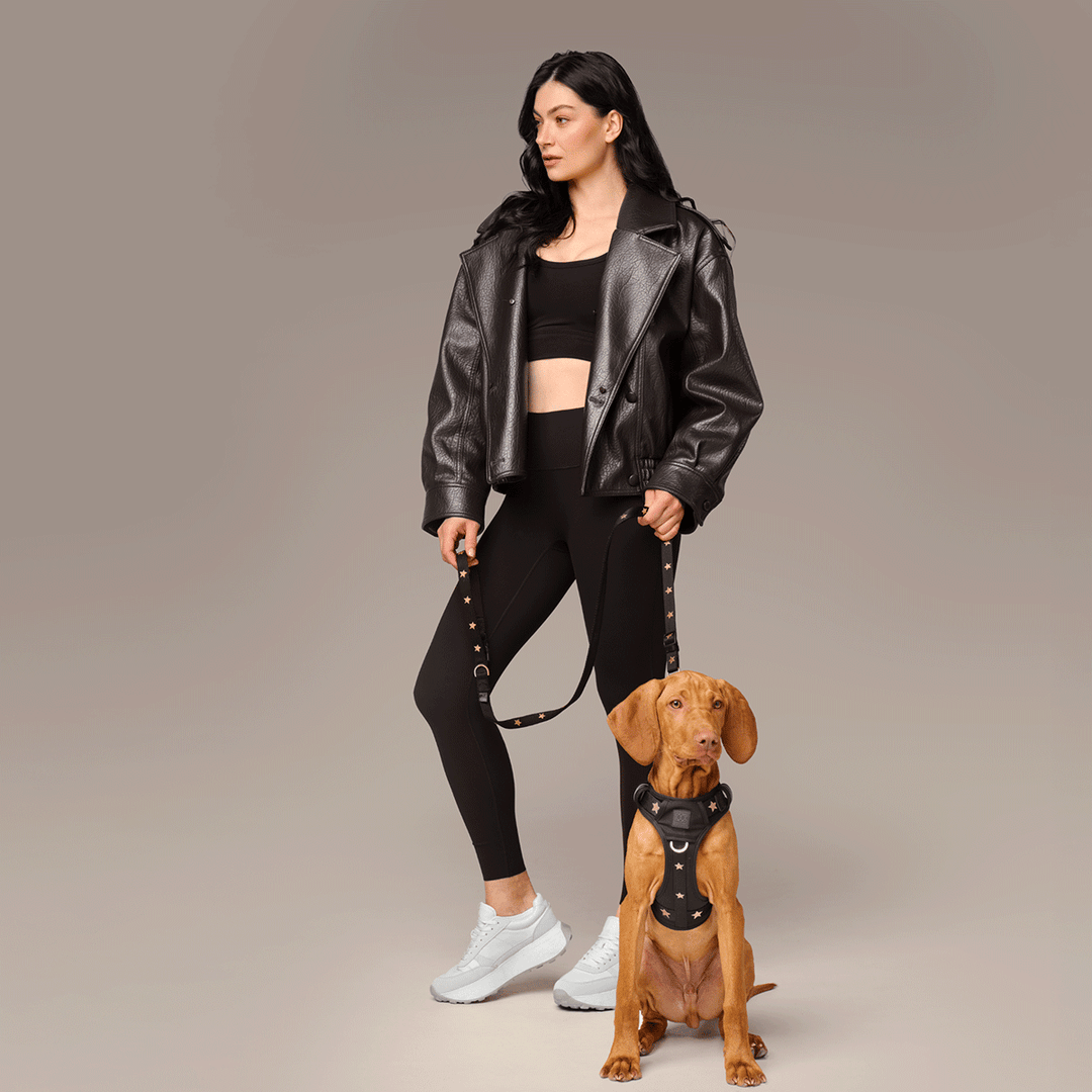 The NoMad Adjustable Luxe Harness - Rockstar