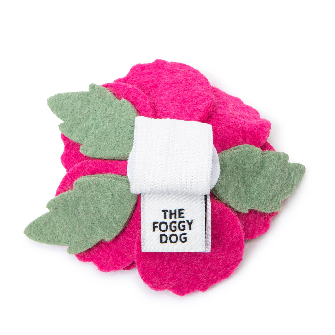 Peony Spring Dog Collar Flower Attachment
