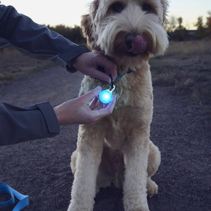 SpotLit Rechargeable Collar Light Blue
