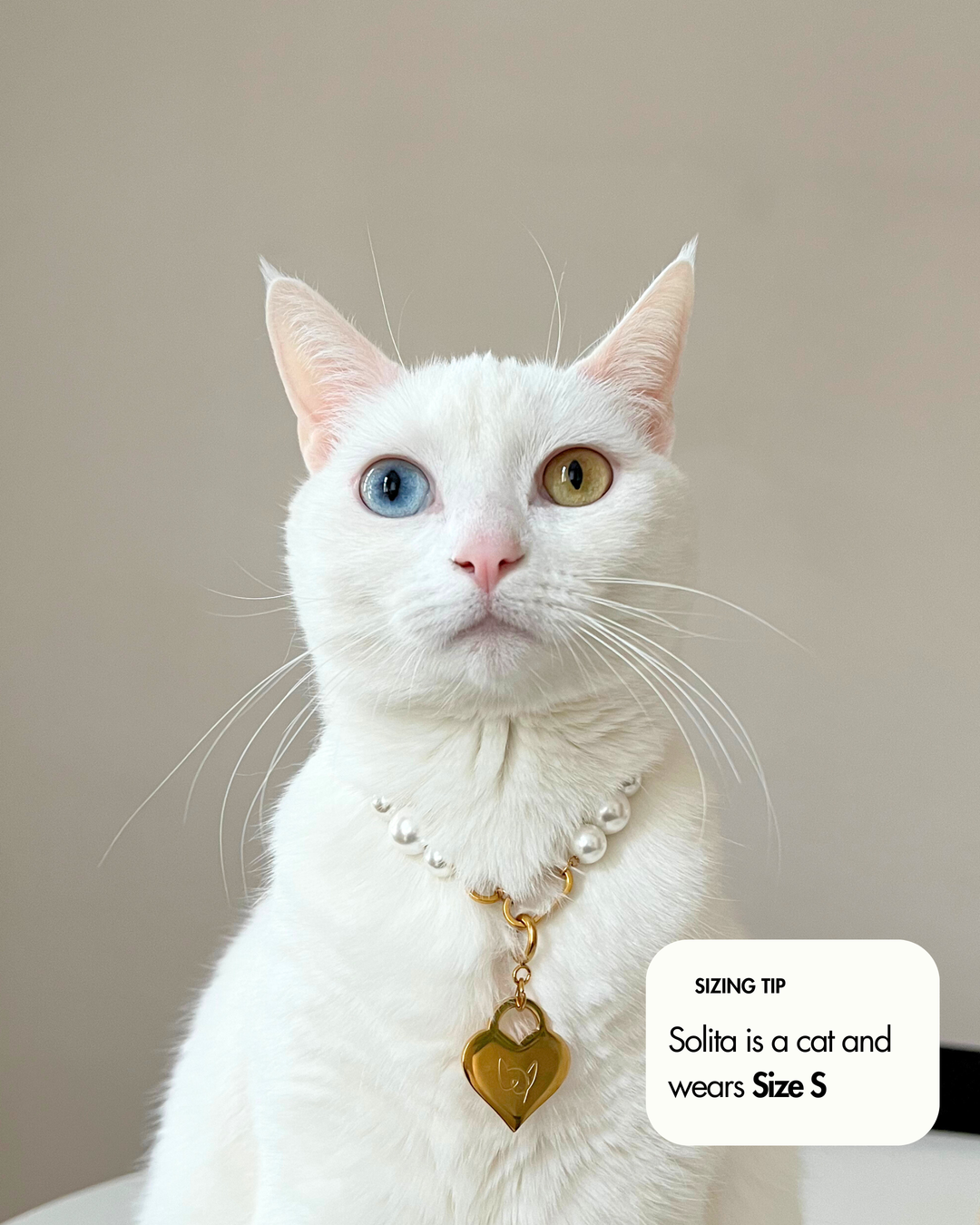 The Zoe Necklace