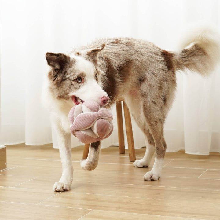 Monti Silent Enrichment Dog Toy Purple