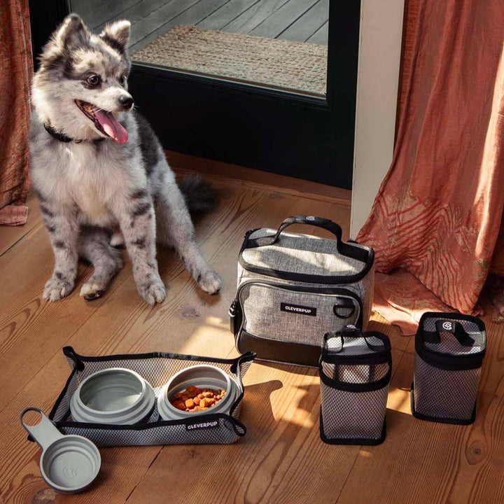 Bistro Box Dog Food Travel Kit