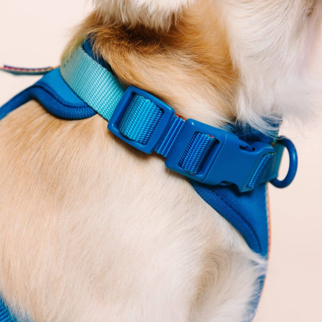 Atlas Blue No Pull Harness