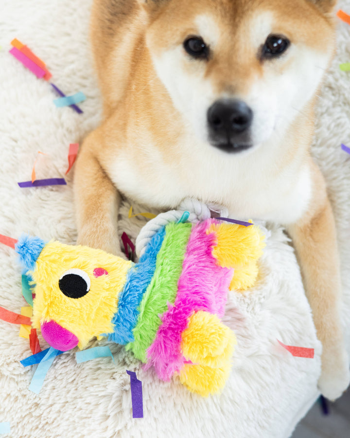 Puppy Pinata Dog Toy