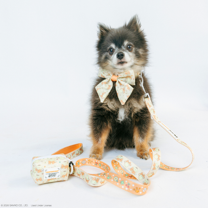 Pompompurin™ Leash
