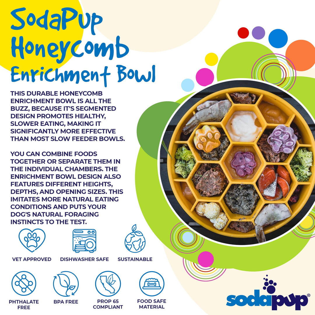 Honeycomb Design eBowl Enrichment Slow Feeder Bowl