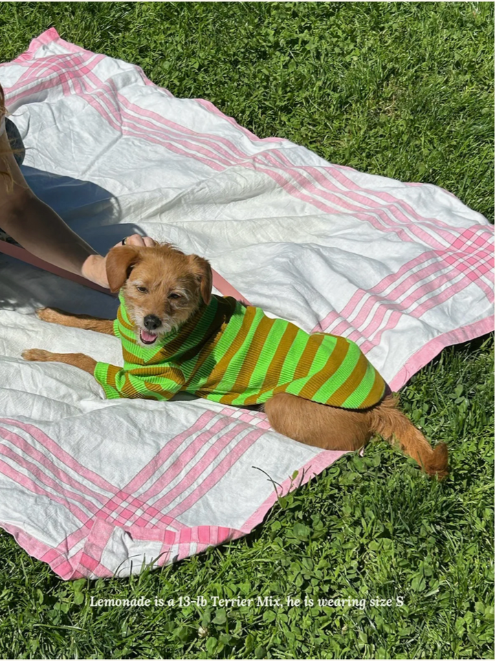 Fresh Grass Striped Shirt