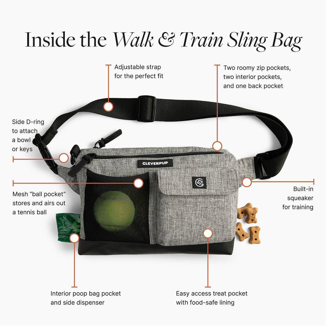 Dog Walk &amp; Train Sling Bag