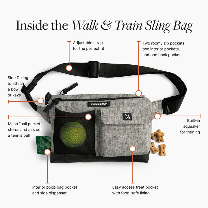 Dog Walk &amp; Train Sling Bag