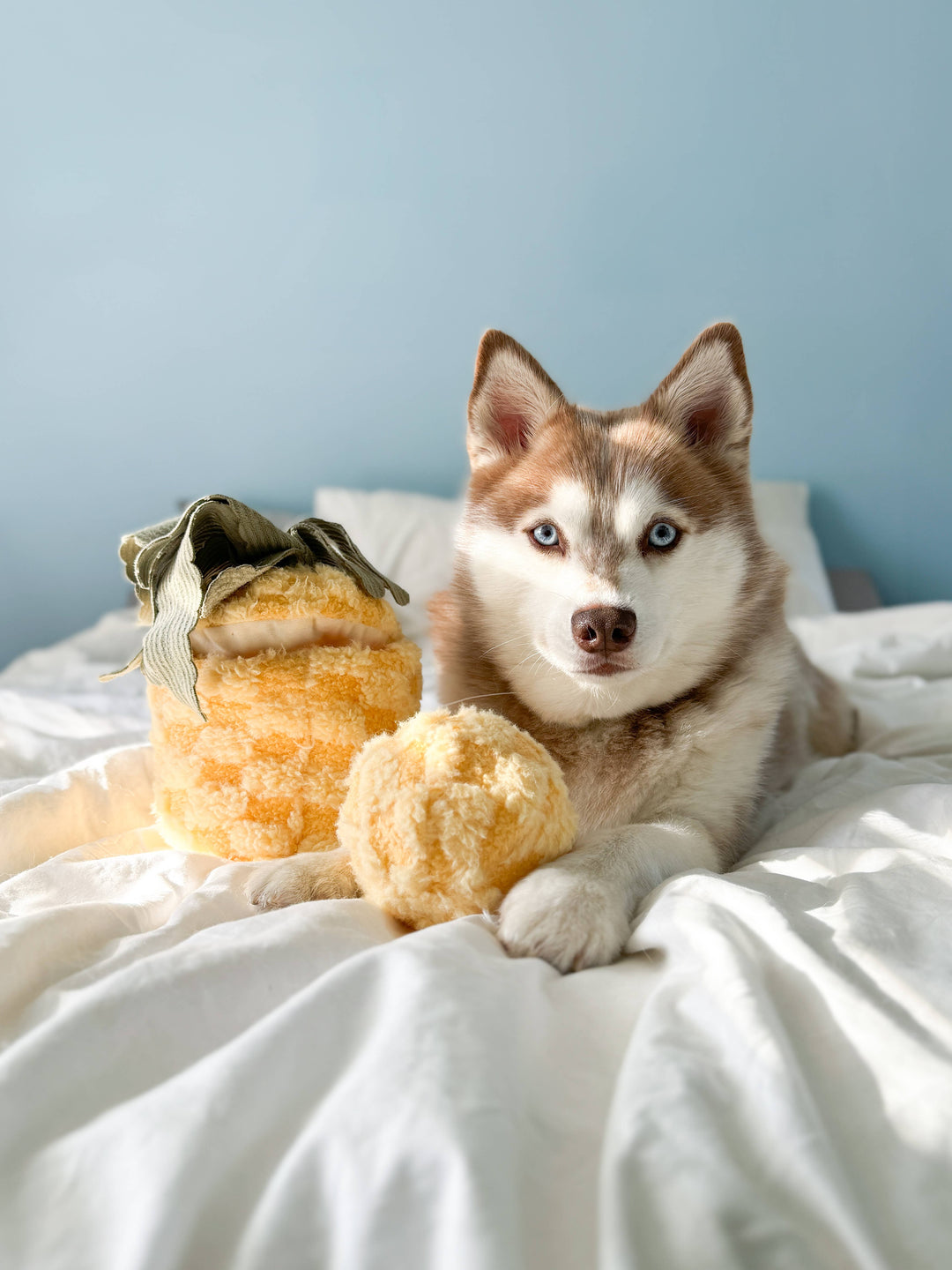 Pineapple Enrichment Dog Toy