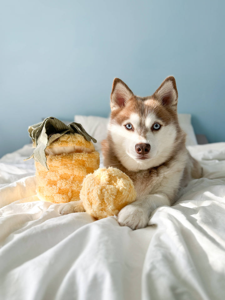 Pineapple Enrichment Dog Toy