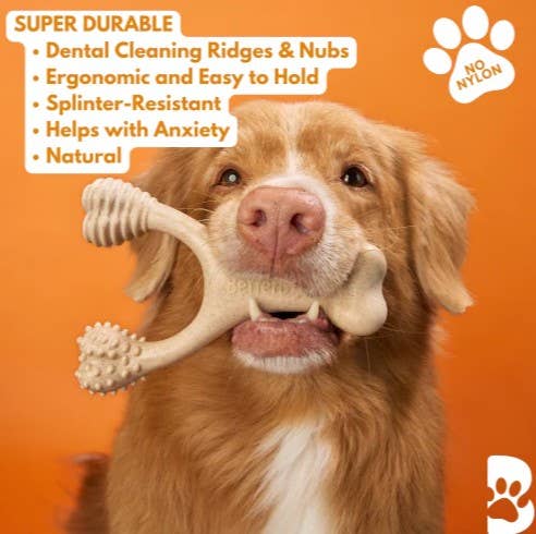 Hard Beef Dog Chew Toy Large