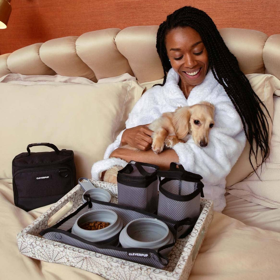 Bistro Box Dog Food Travel Kit