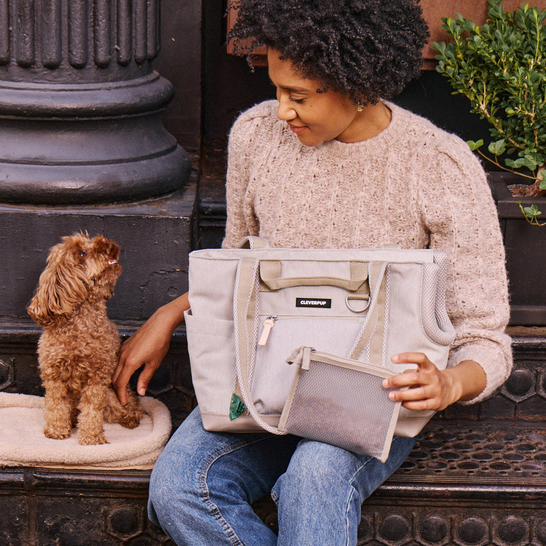 Transit Tote Dog Carrier