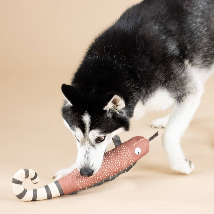 Canvas Sqeaker Dog Toy One In a Chameleon